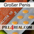 Großer Penis 43
